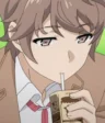 Sakuta Azusagawa