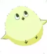 Piwi