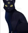 Yoru