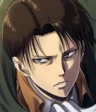 Levi