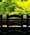 Shin Towada