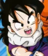 Gohan Son