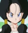 Videl