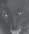 Blackas Shadow Prince