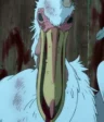 Rou Pelican