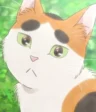 Buchio Ooishi