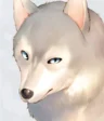 Kuchisshi