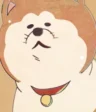 Pochi-san