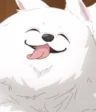 Yukimi
