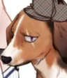 Fido