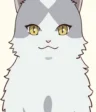 Haibuchi