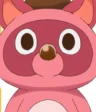 Pokota