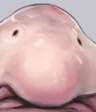 Nujima