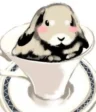 Sarasa Nagase