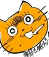 Mayuko Yamamoto